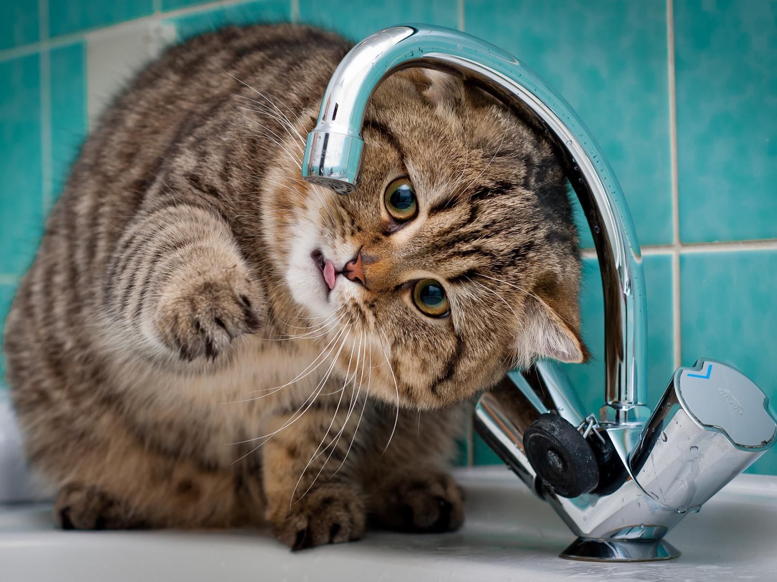 На Донеччині 38 тисяч людей лишилися без води: яка ситуація 6.01.2021 На Донеччині 38 тисяч людей лишилися без води: яка ситуація 6.01.2021