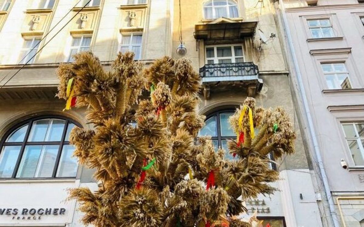 Во Львове накануне Рождества 2021 установили 4-метрового Дидуха: фото Во Львове накануне Рождества 2021 установили 4-метрового Дидуха: фото