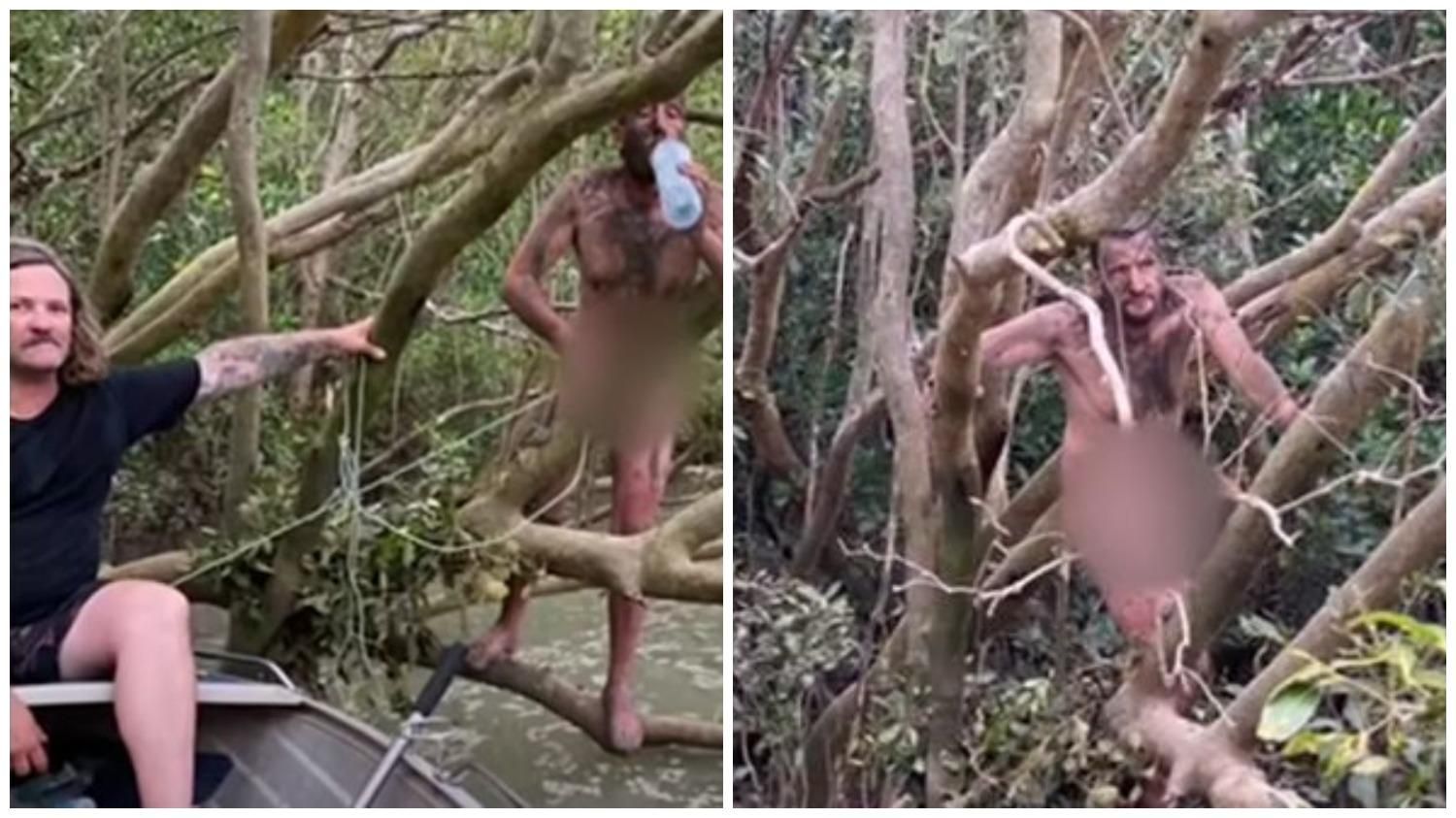 Тікав від крокодилів: в Австралії знайшли голого чоловіка у лісі 