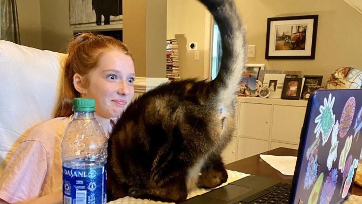 До чего доводит дистанционное обучение: смешные фото До чего доводит дистанционное обучение: смешные фото