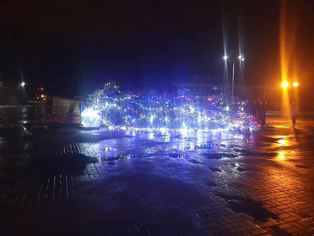 У Каневі сильний вітер повалив головну ялинку міста: фото