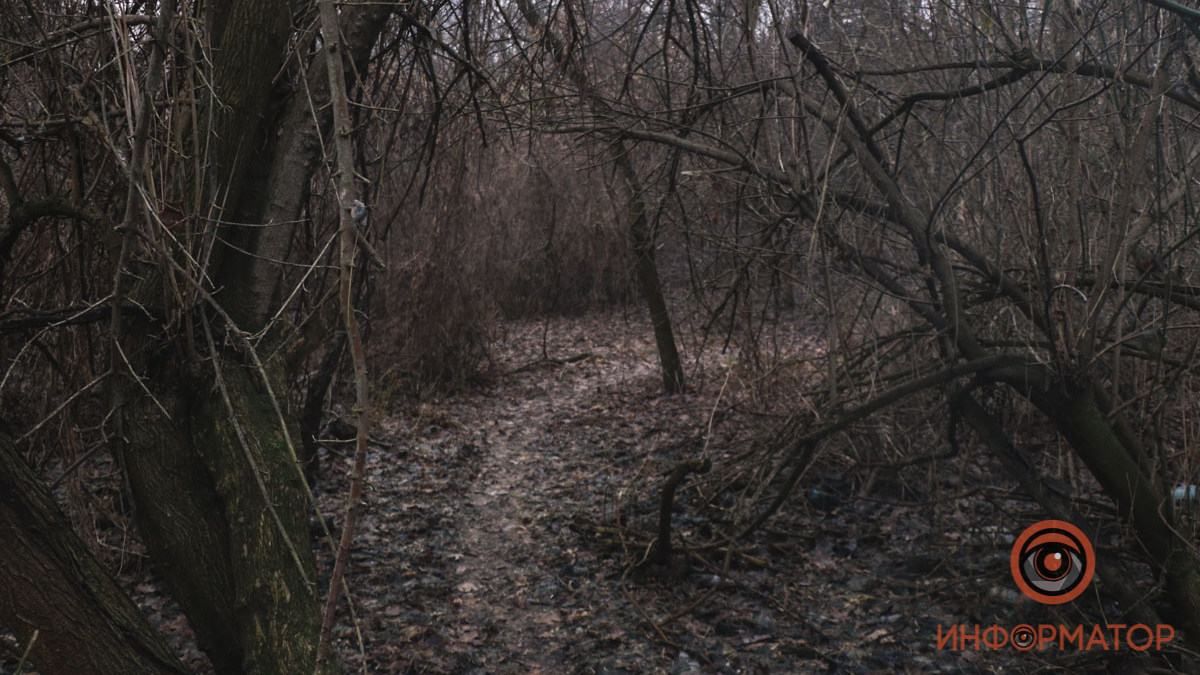 У Дніпрі знайшли мертвого чоловіка: його органи й ноги з’їли У Дніпрі знайшли мертвого чоловіка: його органи й ноги з’їли