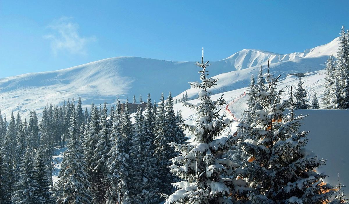 Карпати засипало снігом 11 січня 2021: існує сніголавинна небезпека Карпати засипало снігом 11 січня 2021: існує сніголавинна небезпека