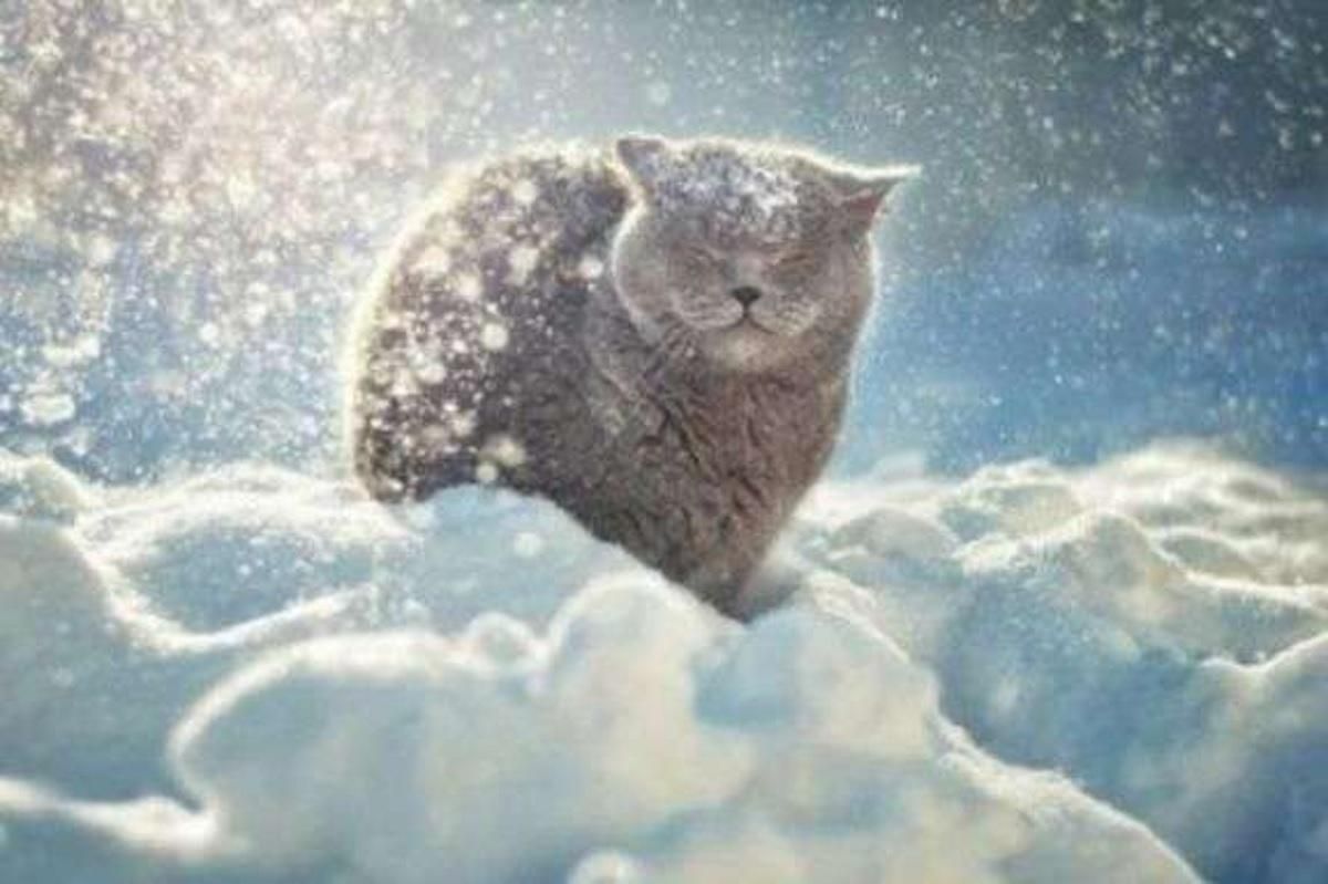 Снігопади, хуртовини, ожеледиця: де буде негода 13-16 січня Снігопади, хуртовини, ожеледиця: де буде негода 13-16 січня