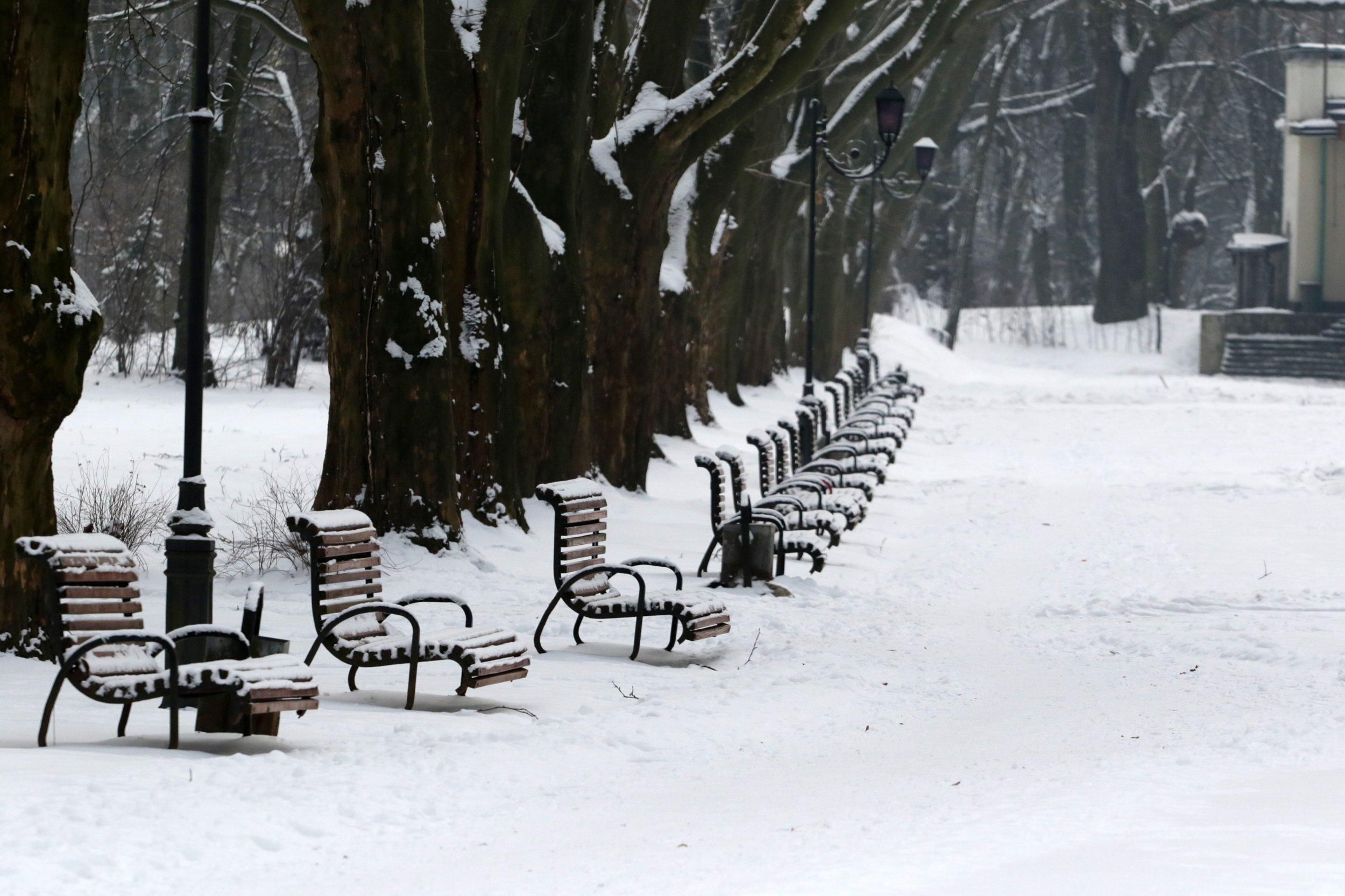 Ожеледиця та хуртовина: прогноз погоди у Львові та області на 13 січня 2021 Ожеледиця та хуртовина: прогноз погоди у Львові та області на 13 січня 2021
