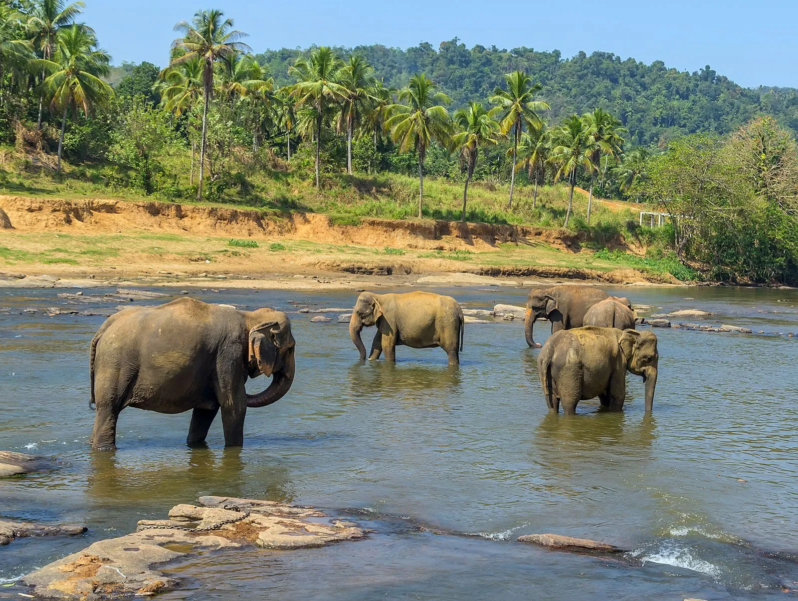 Sri Lanka