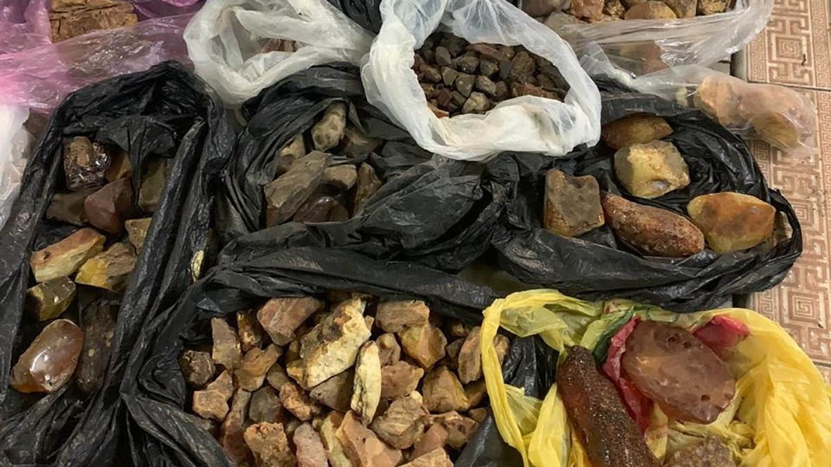 СБУ блокувала нелегальний збут бурштину в Східну Азію: фото, відео СБУ блокувала нелегальний збут бурштину в Східну Азію: фото, відео