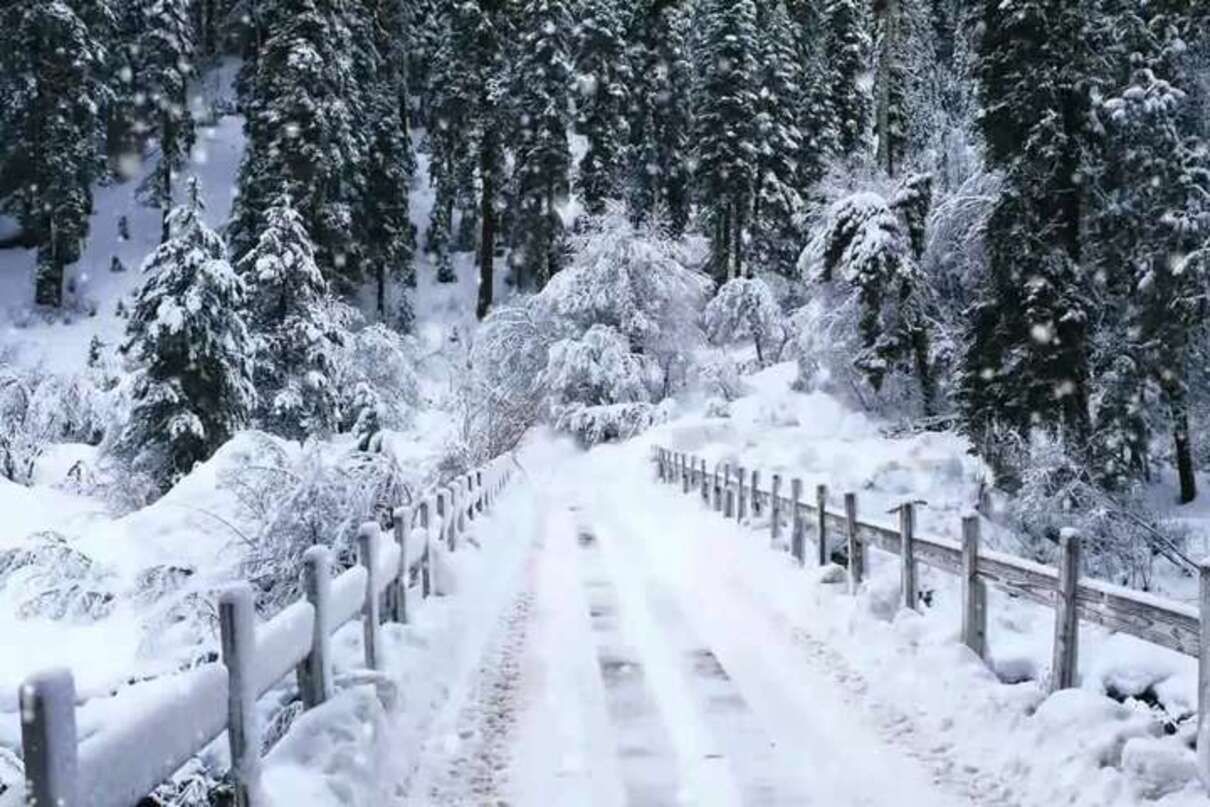 Погода 15 января 2021: прогноз от синоптиков Украины Погода 15 января 2021: прогноз от синоптиков Украины