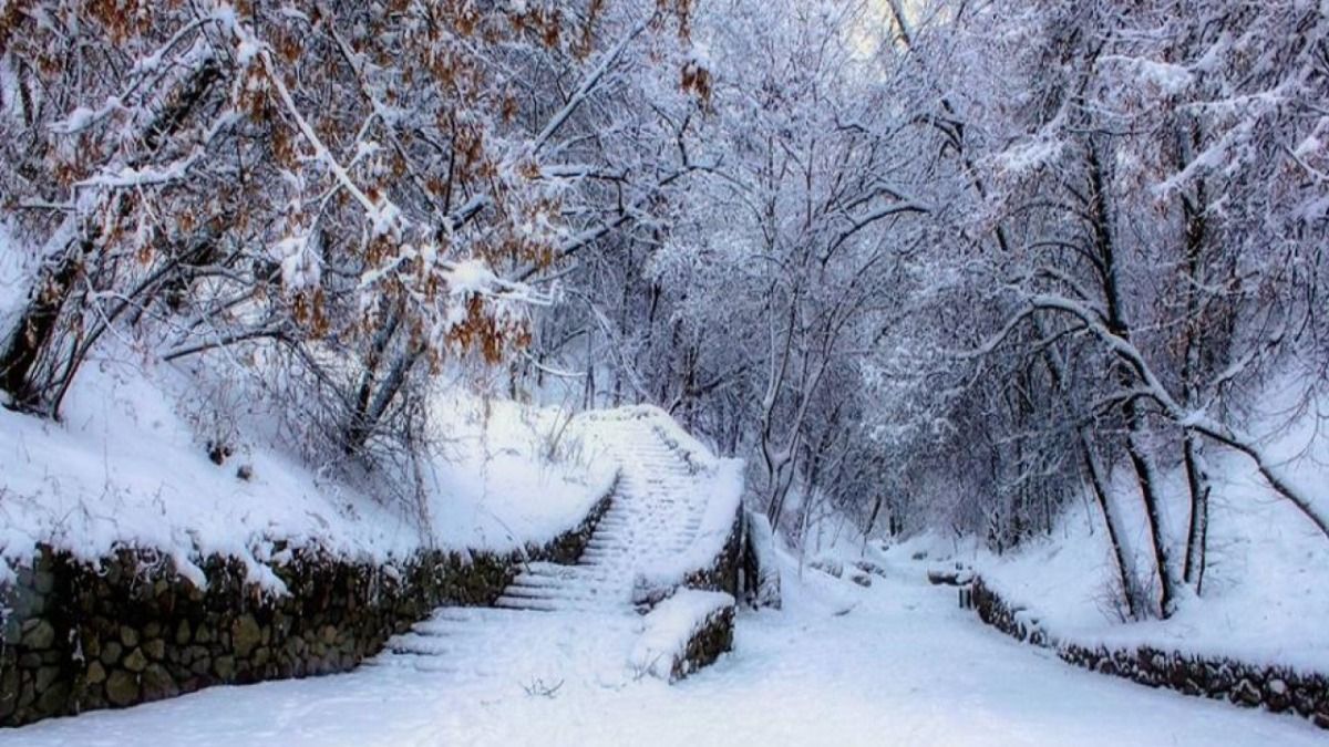 В Украину идут морозы до -20 градусов: где будет холоднее всего В Украину идут морозы до -20 градусов: где будет холоднее всего