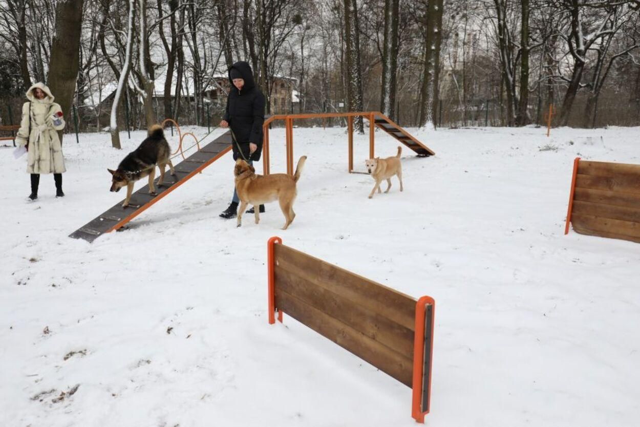 У Львові відкрили ще один тренувально-вигульний майданчик для собак: фото