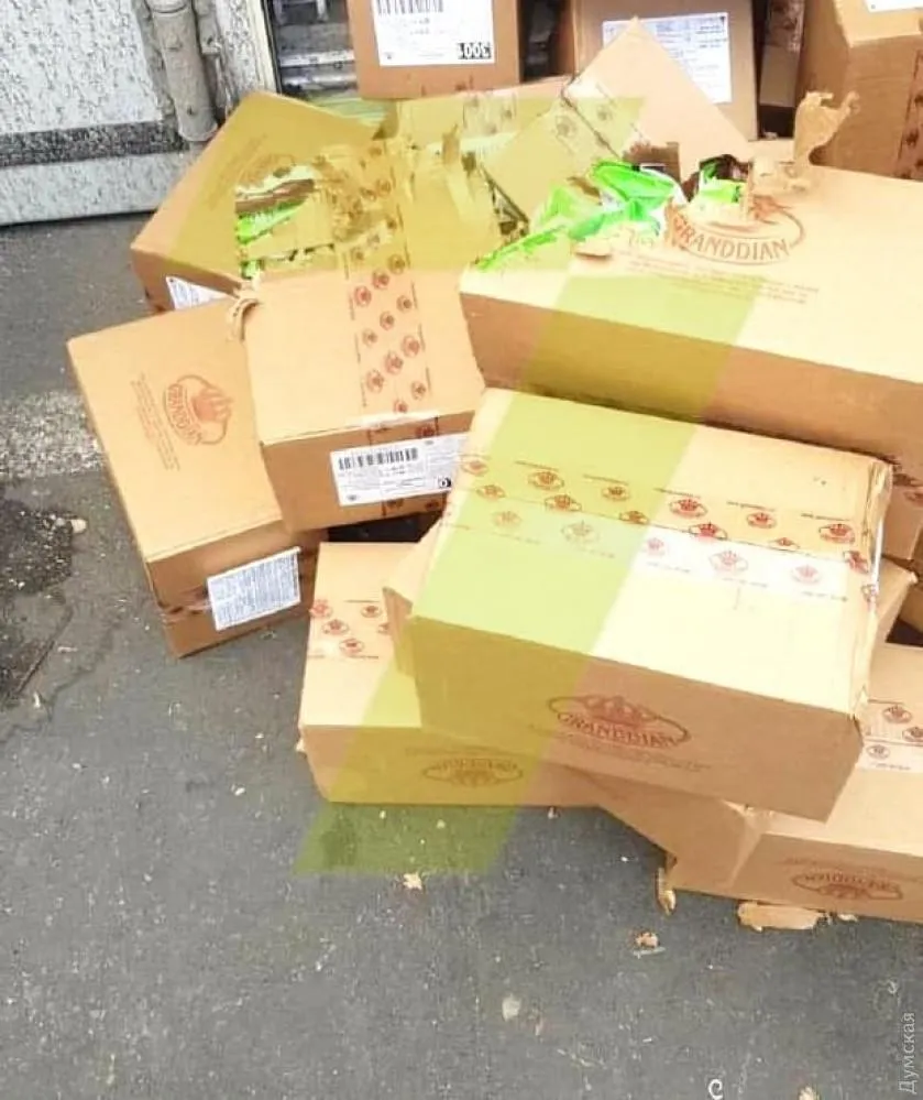 Кішка Кішка