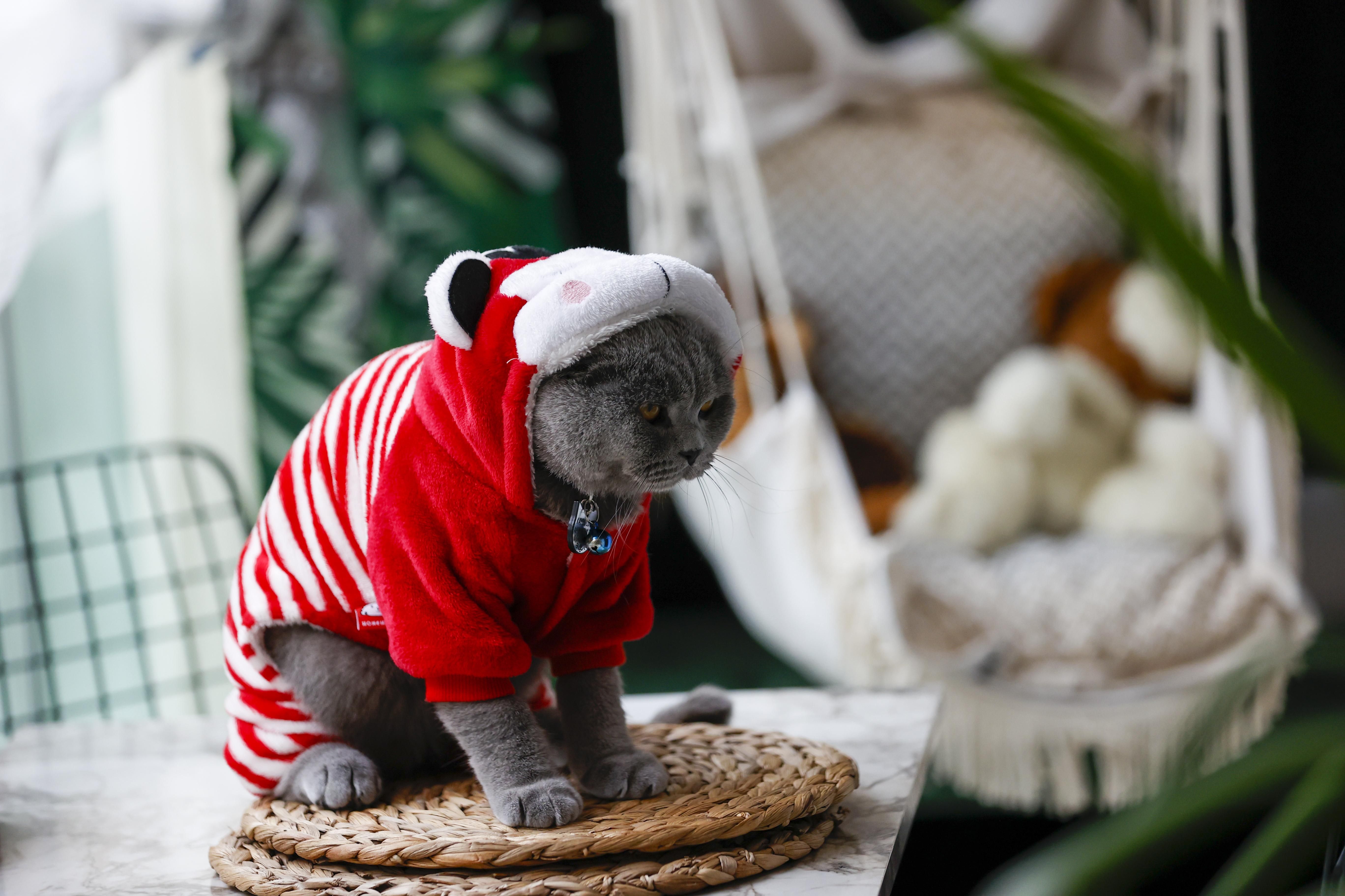 Погода 18 января 2021: прогноз от синоптиков Украины Погода 18 января 2021: прогноз от синоптиков Украины