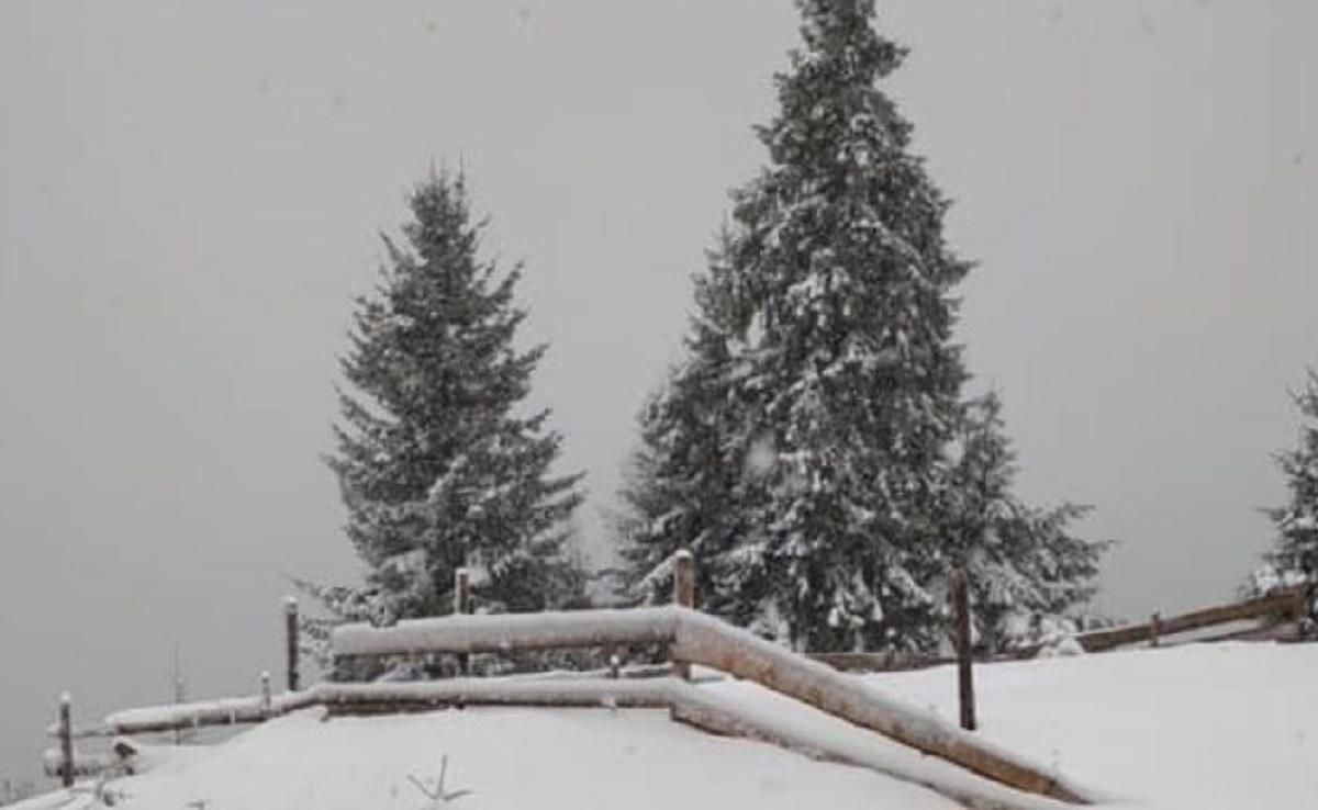 Более 50 сантиметров снега: какие области наибольше замело