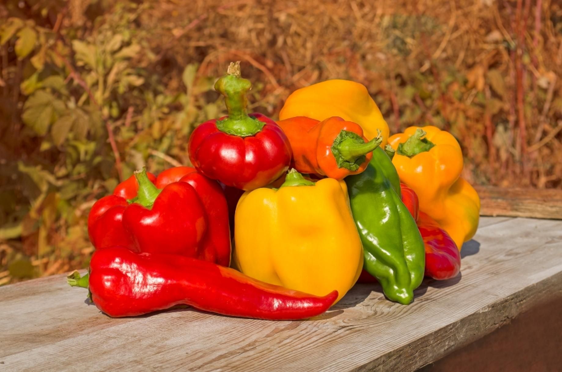Найсмачніший овоч 2021 року: який продукт переміг