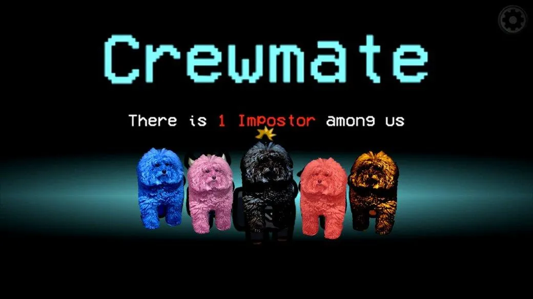 В Японії виявлена квадратна собака, яка стала мемом про героїв популярної гри Among Us В Японії виявлена квадратна собака, яка стала мемом про героїв популярної гри Among Us