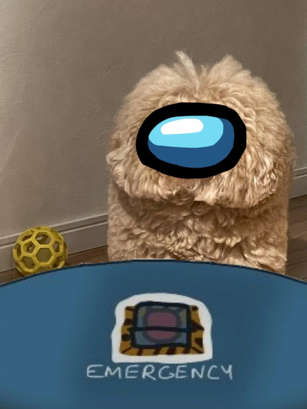 В Японії виявлена квадратна собака, яка стала мемом про героїв популярної гри Among Us В Японії виявлена квадратна собака, яка стала мемом про героїв популярної гри Among Us