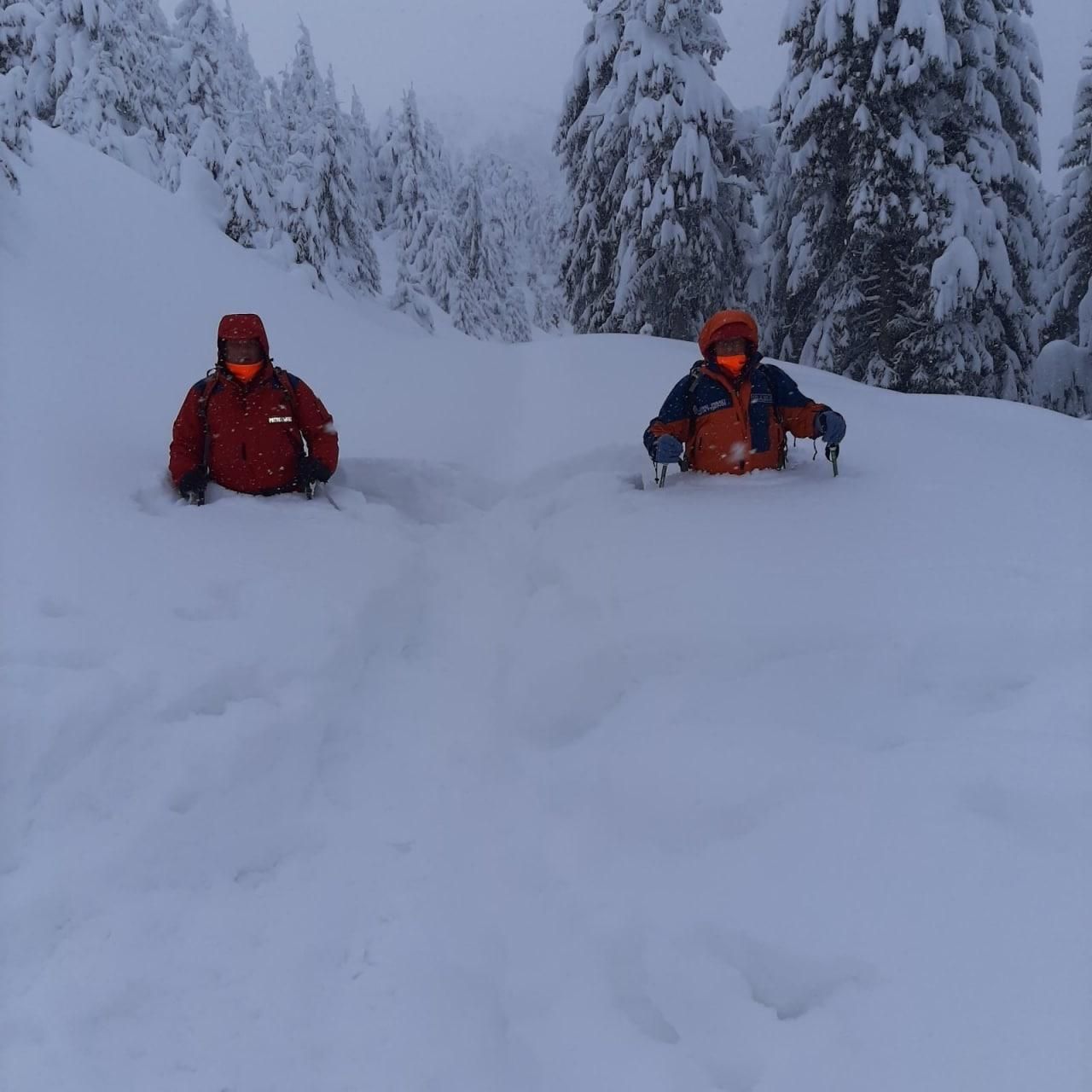 Львів'янина, який зник у Карпатах, знайшли у Румунії 15.01.2021 Львів'янина, який зник у Карпатах, знайшли у Румунії 15.01.2021