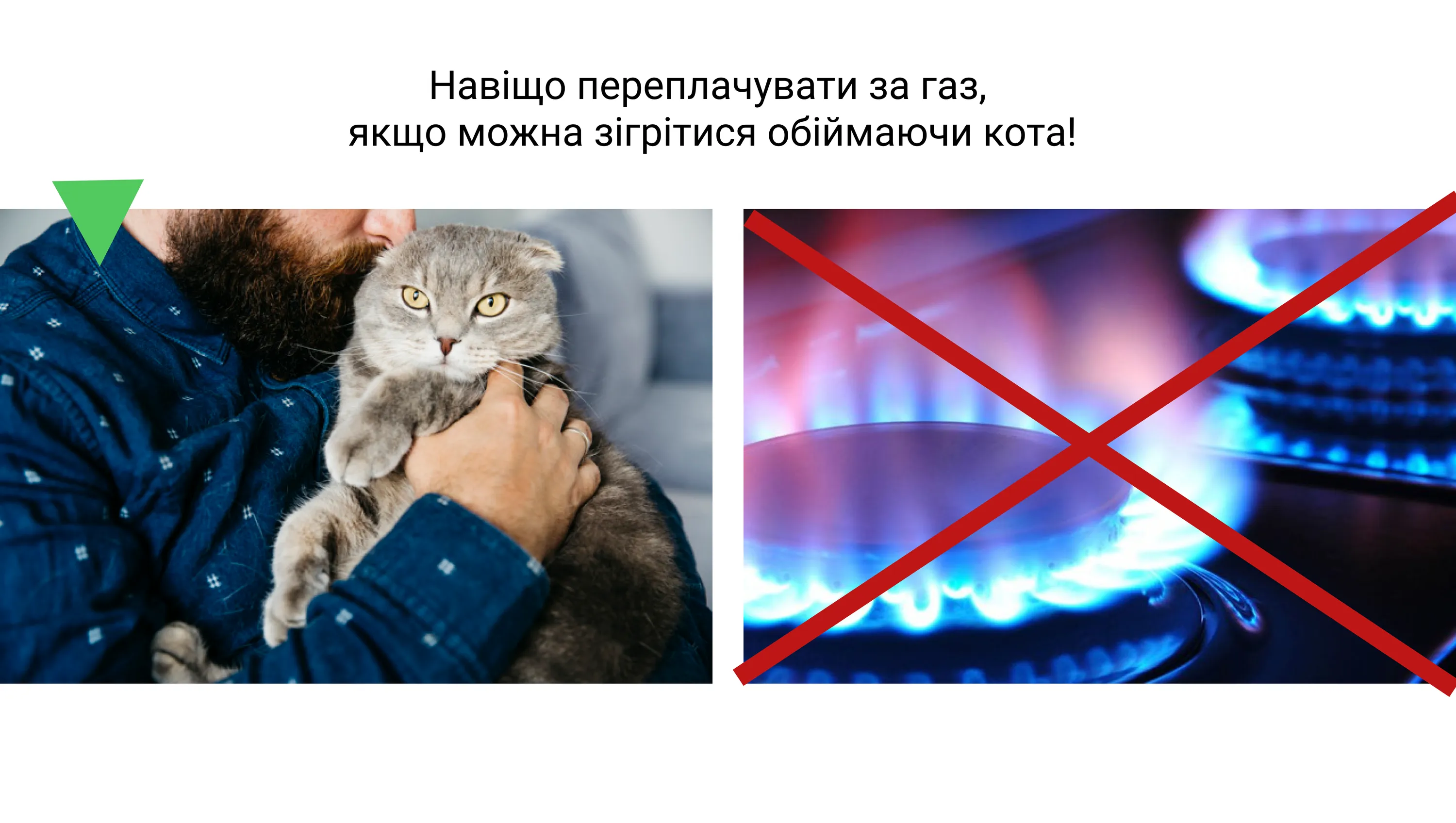 Коти і газ Коти і газ