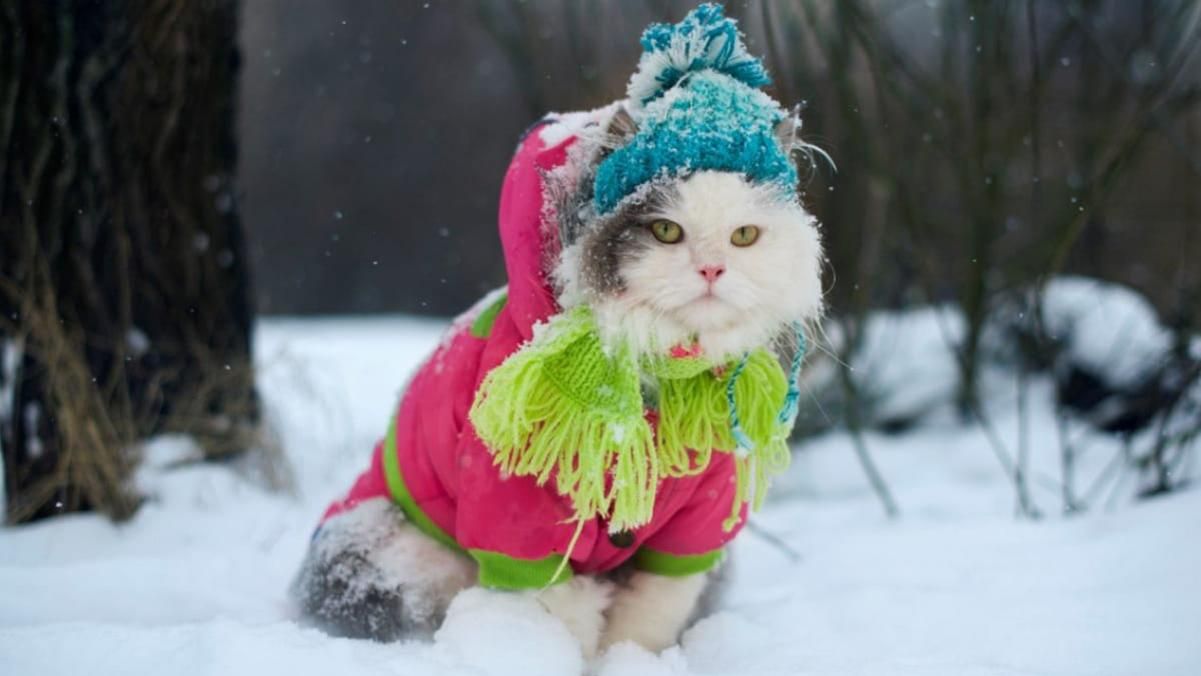 В течение 18 – 19 января 2021 морозы в Украине сохранятся В течение 18 – 19 января 2021 морозы в Украине сохранятся