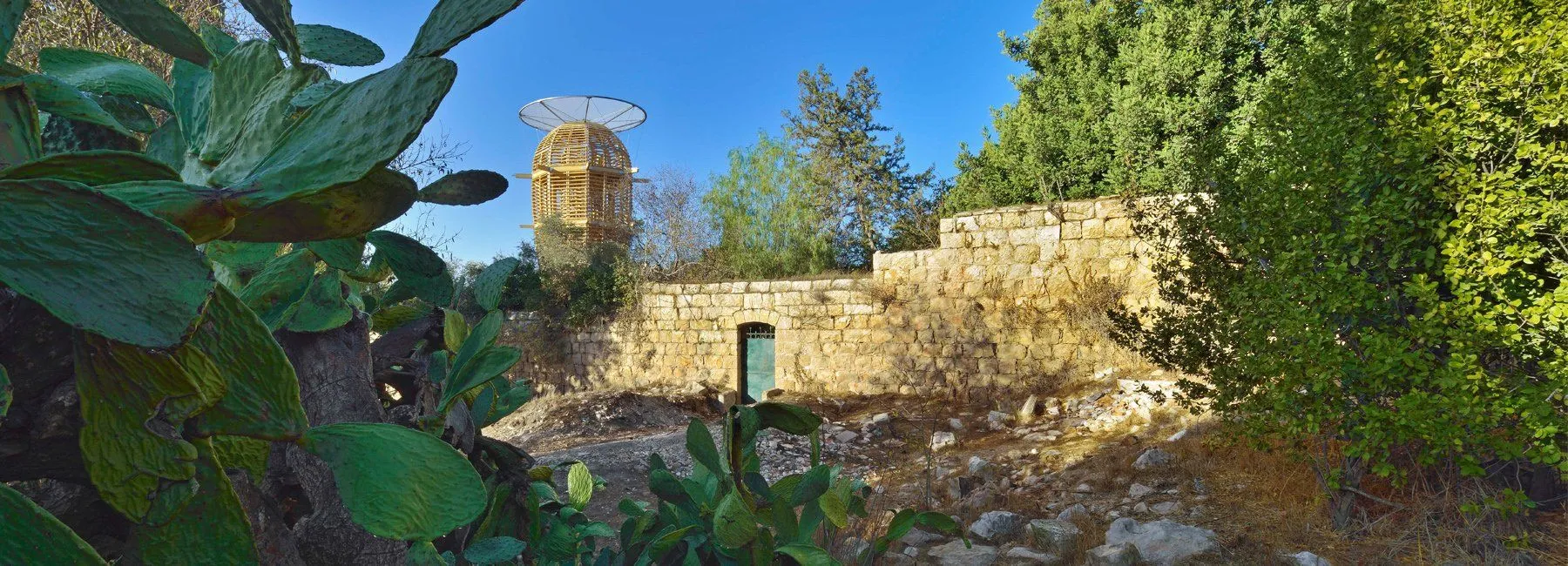 Серед старих оливкових дерев  / Фото Designboom Серед старих оливкових дерев  / Фото Designboom