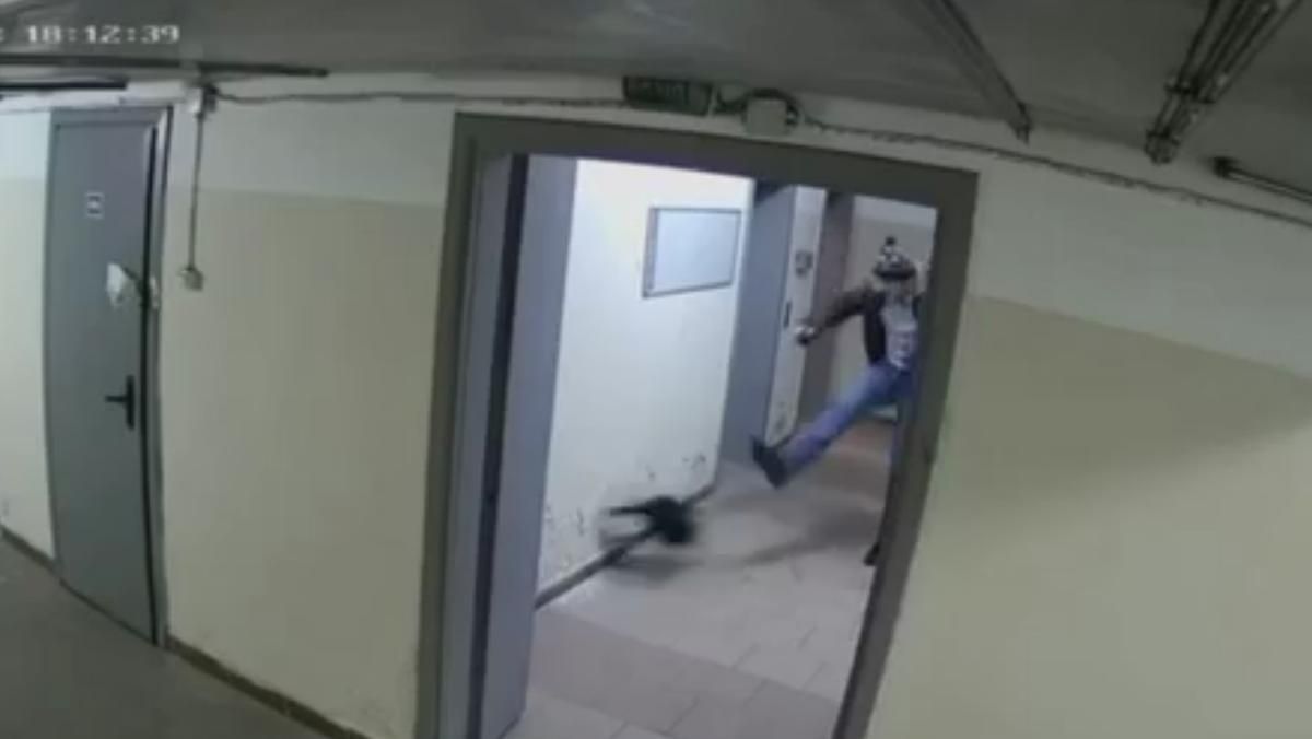В Киеве мужчина ногами избил щенка