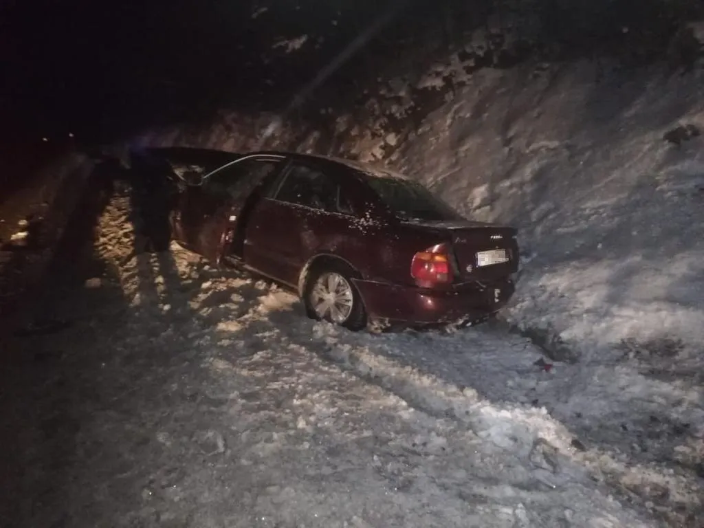 На Львівщині авто вилетіло в кювет з засніженої траси: водій загинув – фото автотрощі