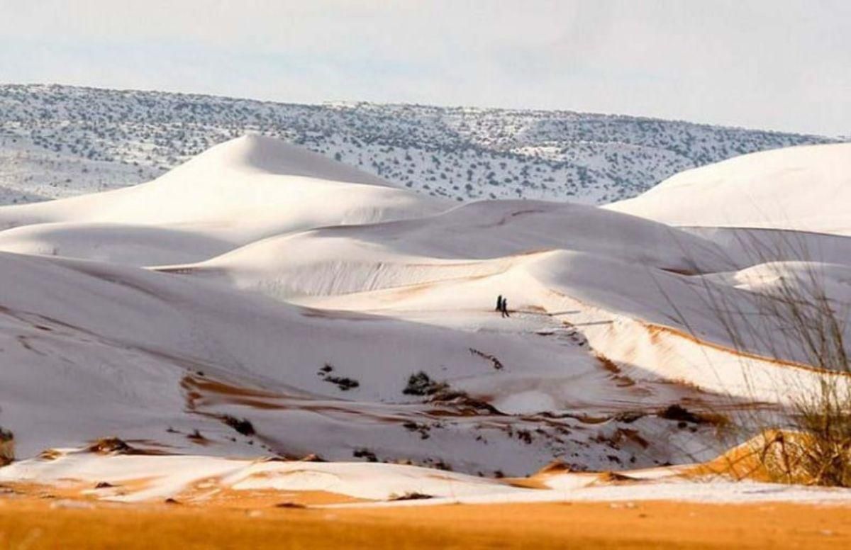 У пустелі Сахара в січні 2021 випав сніг: фото снігу