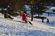 Каталася на санках і врізалася в дерево: у Харкові 8-річна дівчинка вийшла з коми Каталася на санках і врізалася в дерево: у Харкові 8-річна дівчинка вийшла з коми