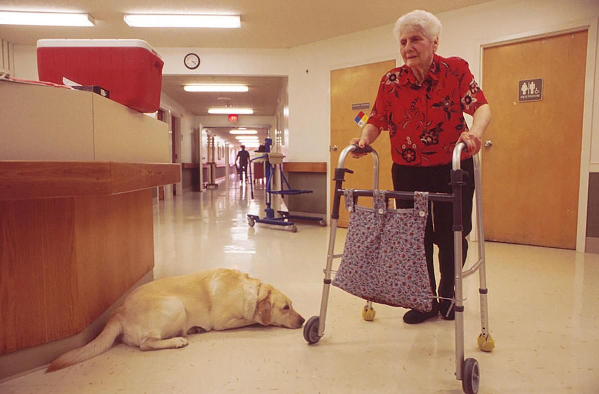 Кто в Украине контролирует частные дома престарелых Кто в Украине контролирует частные дома престарелых