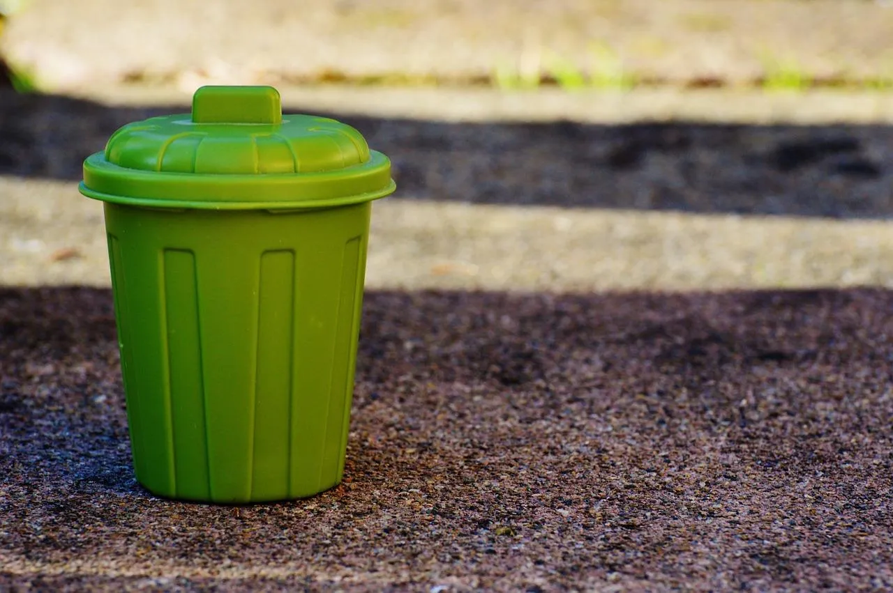 Легкий варіант, як позбутися запаху із сміттєвого відра / Фото Pixabay