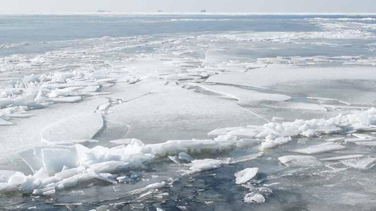 У Києві застерігають про небезпеку прогулянок на тонкій кризі У Києві застерігають про небезпеку прогулянок на тонкій кризі