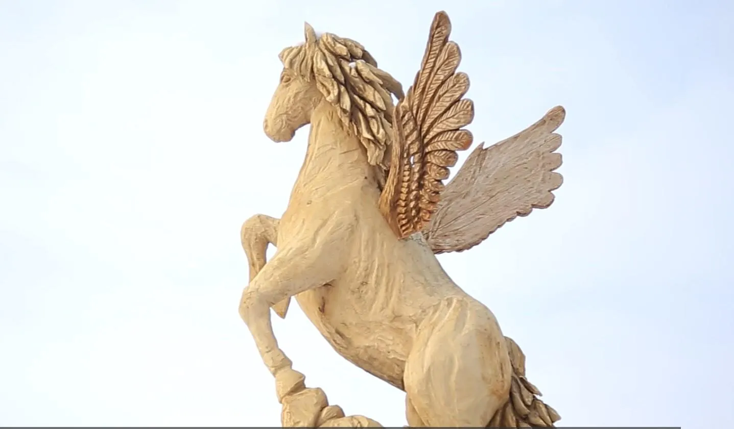 Пегас Пегас