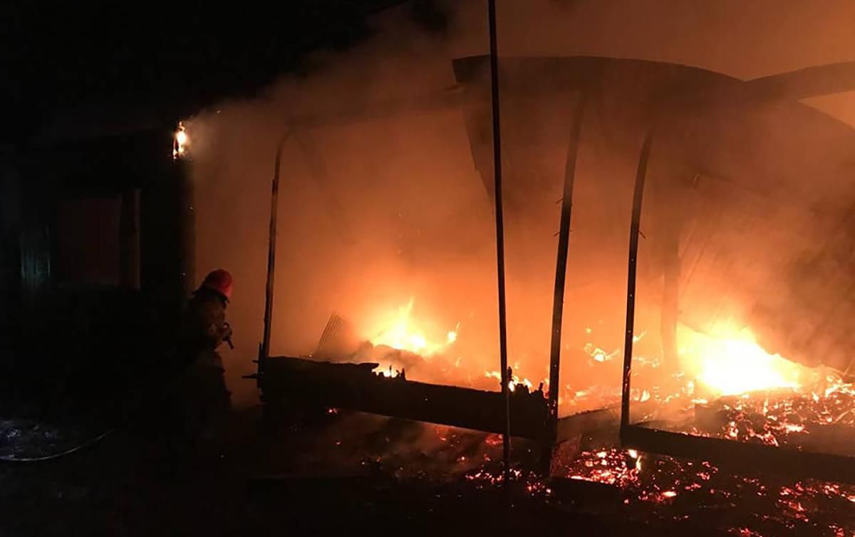 На Одещині внаслідок пожежі на базі відпочинку ніхто не постраждав