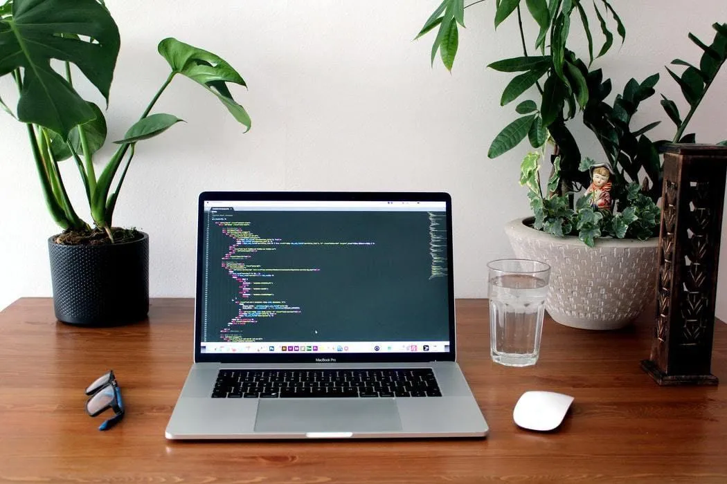 Кімнатні рослини Кімнатні рослини