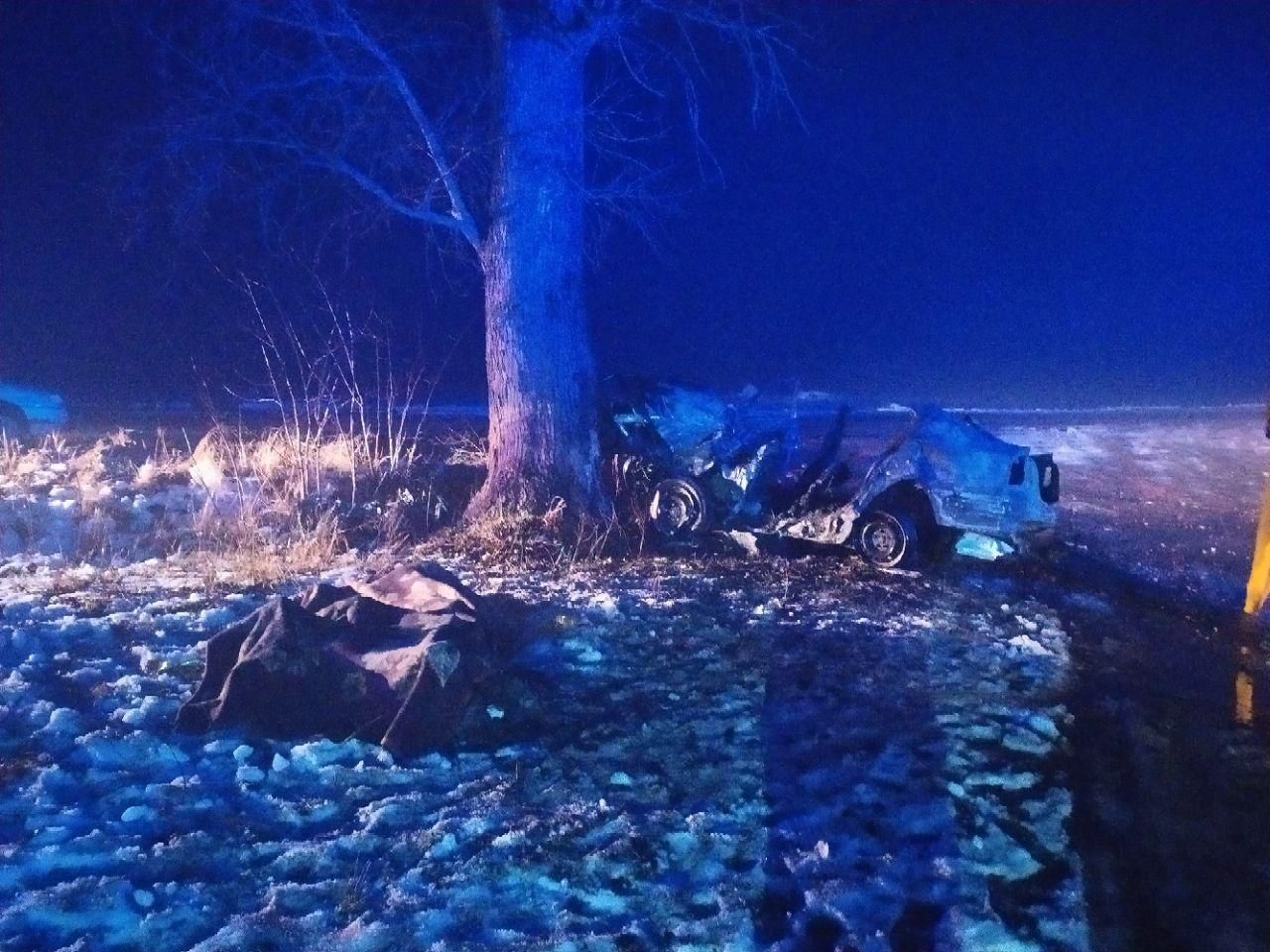 Смертельна ДТП на Житомирщині: авто загорілось, 3 загинули