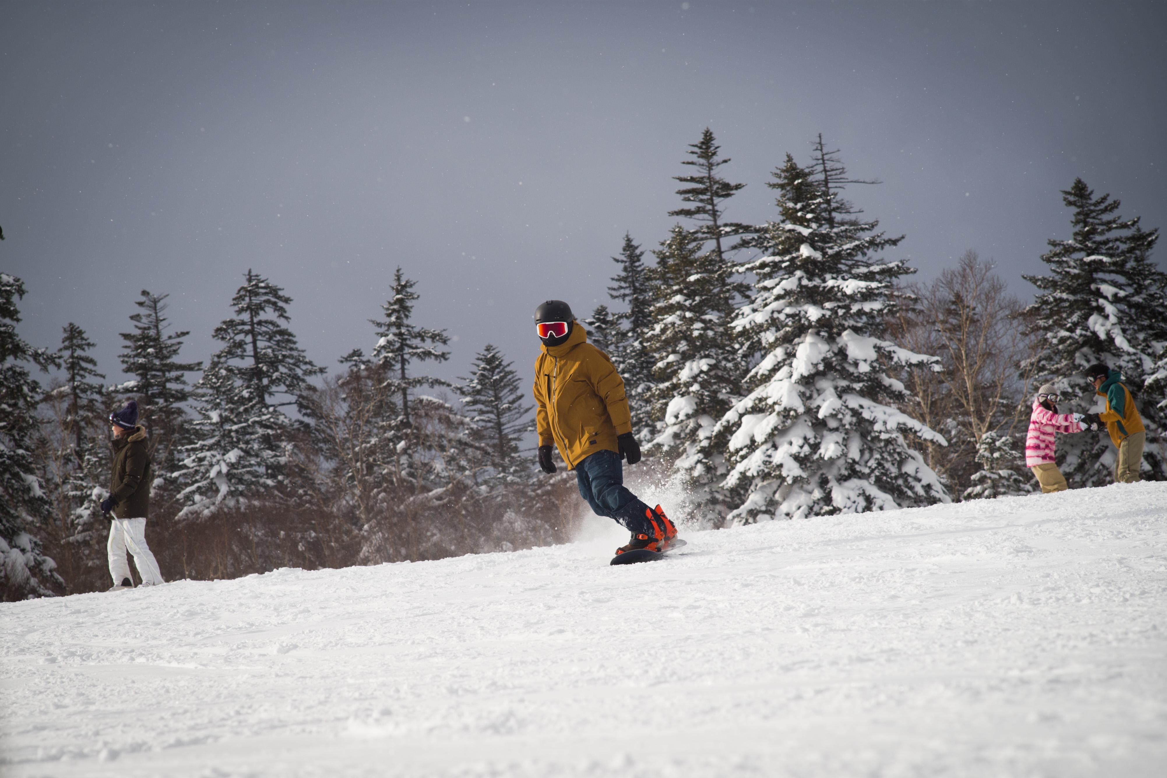 На Закарпатье 24 января 2021 спасли 2 туристов На Закарпатье 24 января 2021 спасли 2 туристов