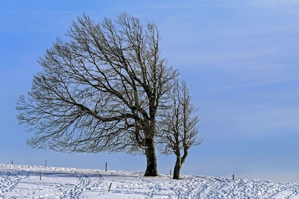 Погода 26 января 2021: прогноз от синоптиков Украины Погода 26 января 2021: прогноз от синоптиков Украины