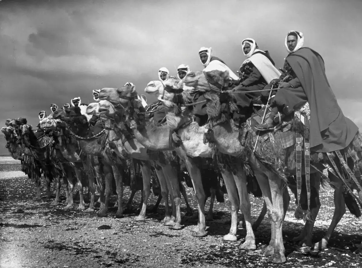 військо арабів військо арабів