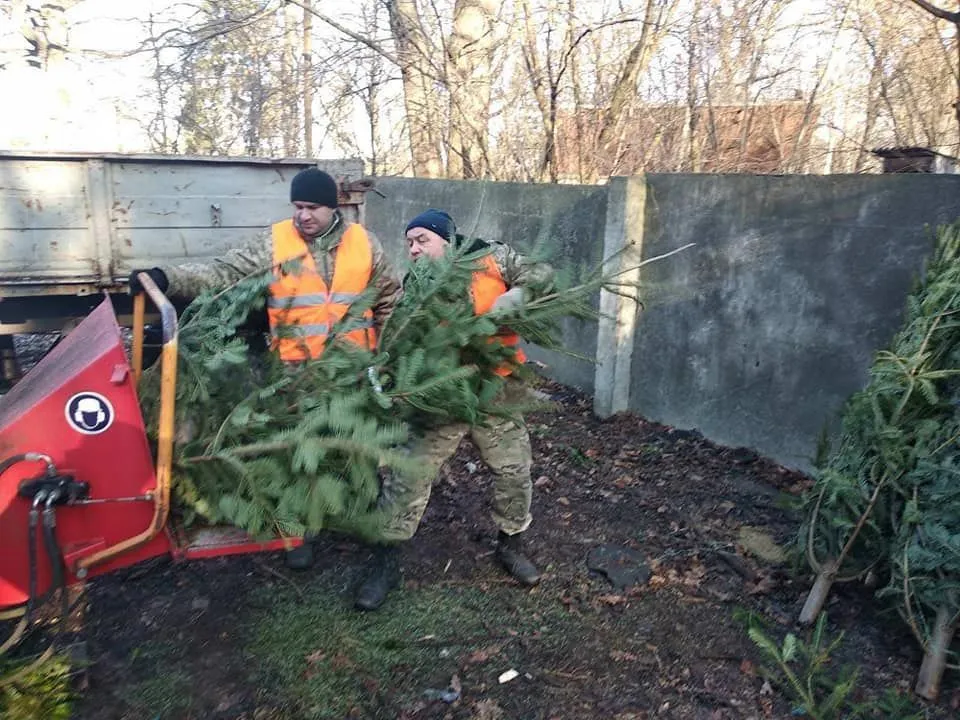 У Києві ще є можливість здати ялинку на переробку У Києві ще є можливість здати ялинку на переробку