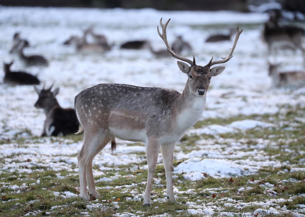 Метель, гололедица, ветры: погода в Украине внезапно изменится Метель, гололедица, ветры: погода в Украине внезапно изменится