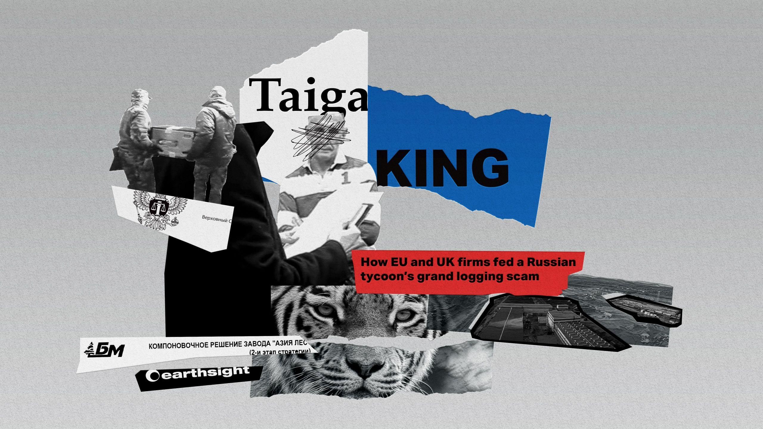 Король тайги и схема олигарха РФ