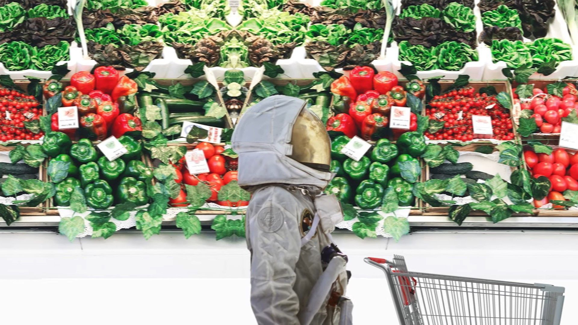 NASA шукає нову їжу для далеких космічних подорожей NASA шукає нову їжу для далеких космічних подорожей