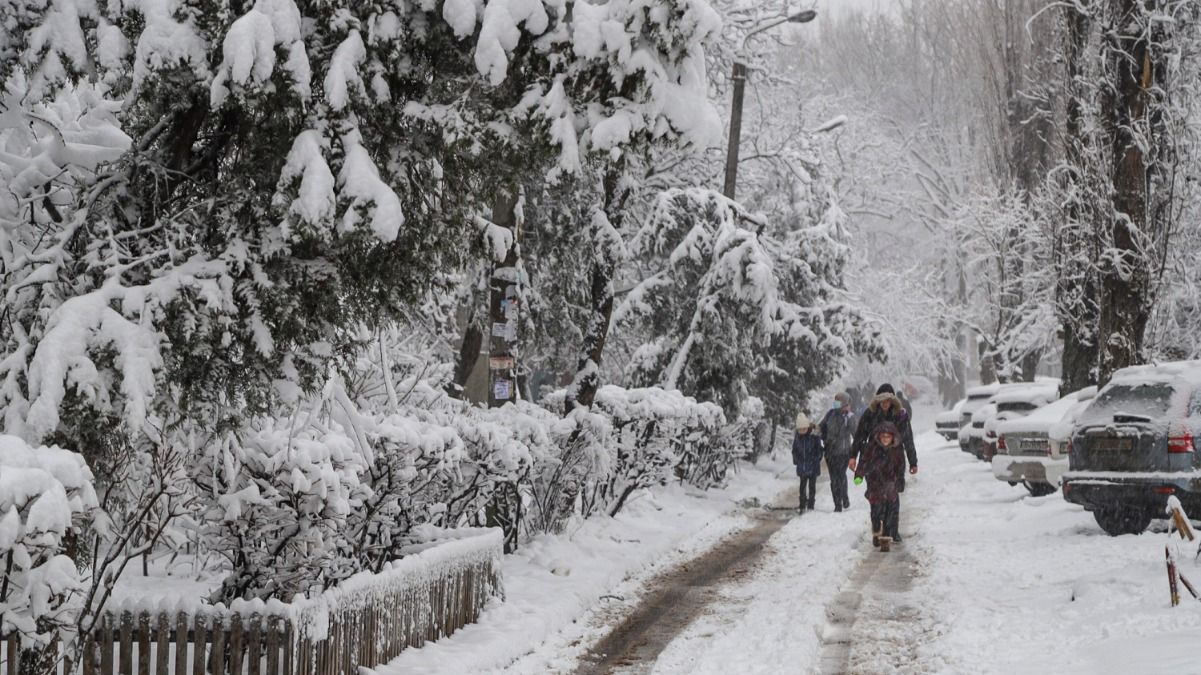 Одессу накрыл снегопад и деревопад: невероятные фото и видео