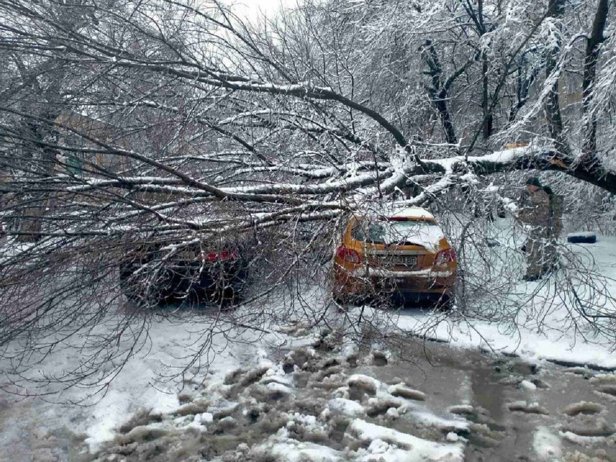 В Одессе 27.01.2021 дерева упали на дороги и заблокировали машины