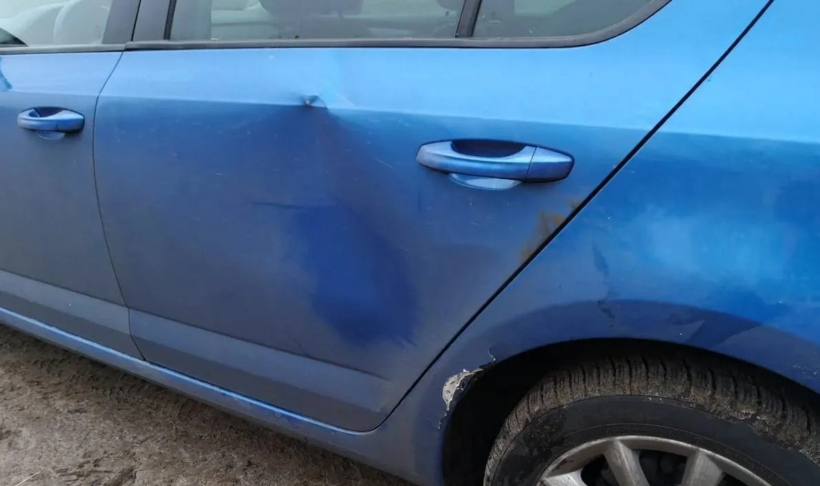 Постраждала лише автівка - її побив зубр Постраждала лише автівка - її побив зубр