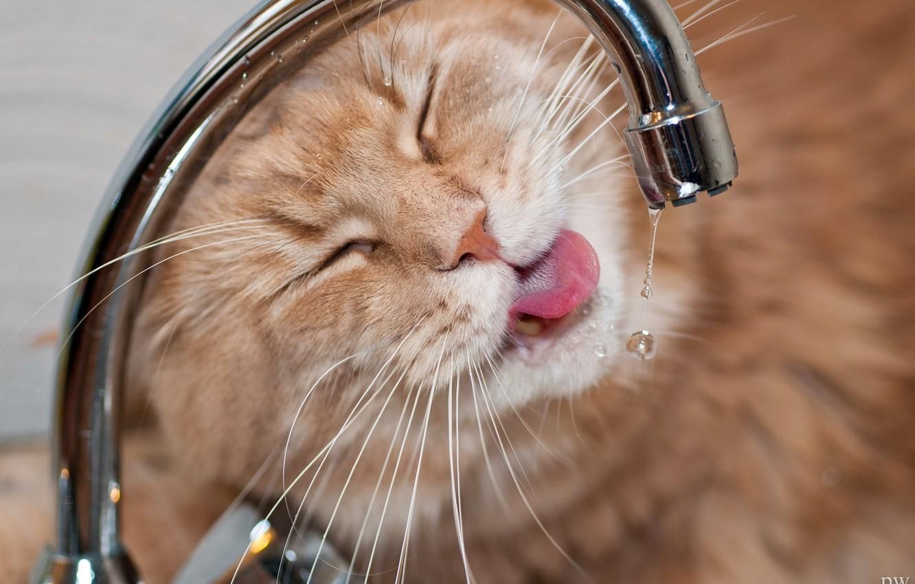 Через ремонт водопроводів у Львові 28 січня 2021 вимикатимуть воду: повний список вулиць Через ремонт водопроводів у Львові 28 січня 2021 вимикатимуть воду: повний список вулиць