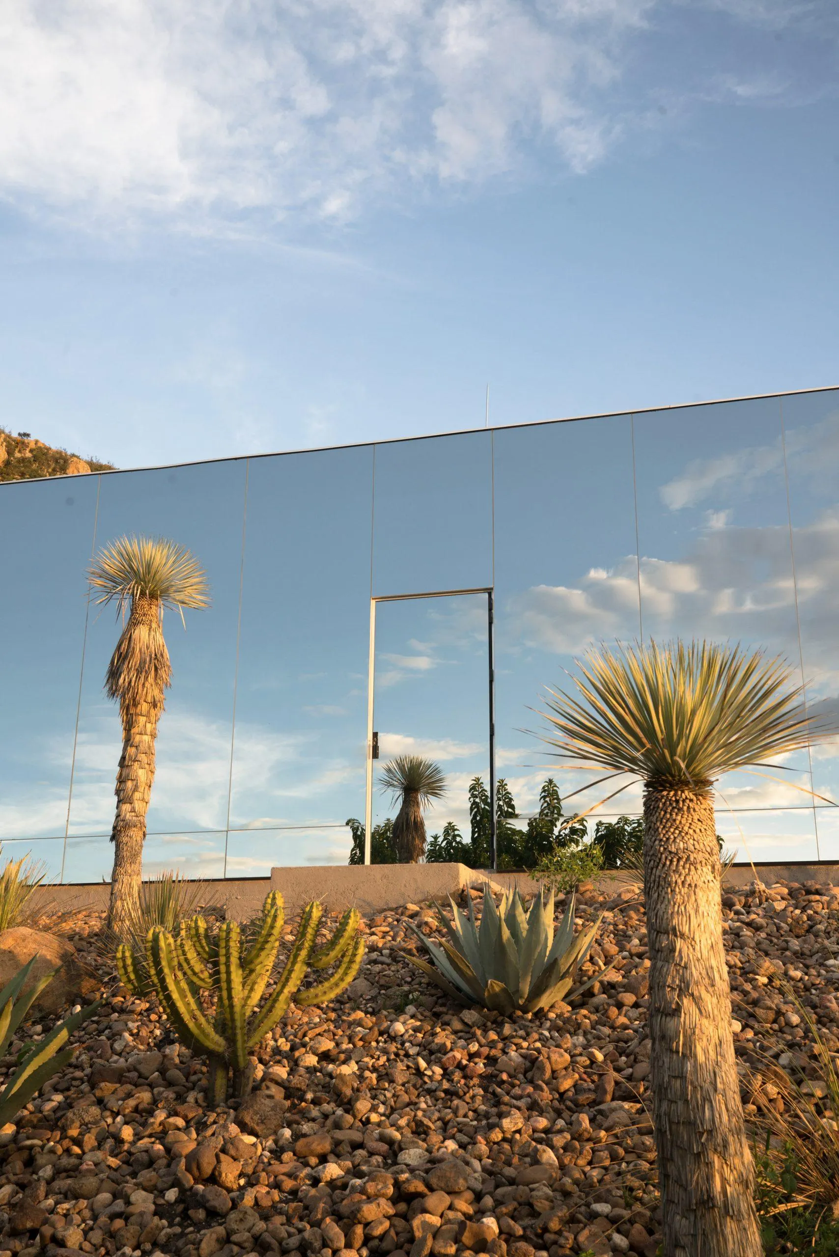 Скляний фасад чудово компанує із дикою природою / Фото Dezeen