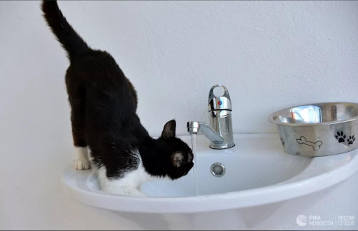 Где во Львове не будет воды 29 января 2021 из-за ремонта водопроводов Где во Львове не будет воды 29 января 2021 из-за ремонта водопроводов