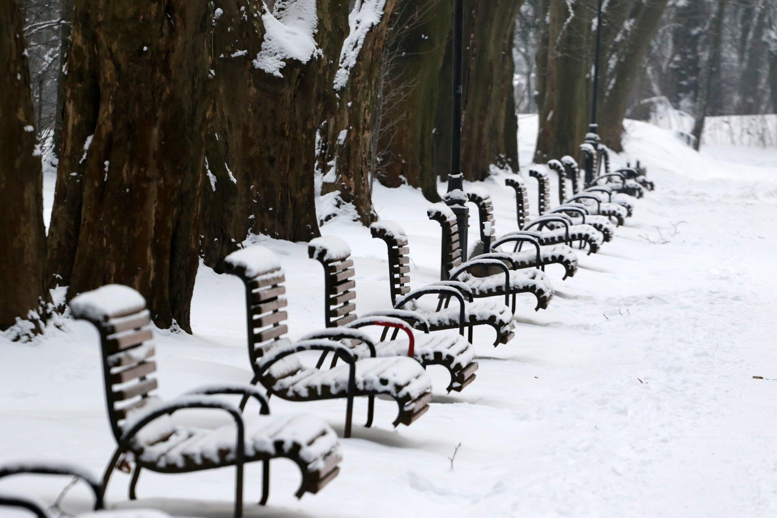 Погода 1 лютого 2021: прогноз від синоптиків України Погода 1 лютого 2021: прогноз від синоптиків України