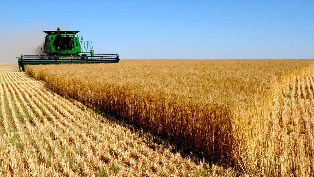 Из-за влияния олигархов на тарифы УЗ фермеры теряют до 7 долларов на тонне зерна, – Слободяник Из-за влияния олигархов на тарифы УЗ фермеры теряют до 7 долларов на тонне зерна, – Слободяник